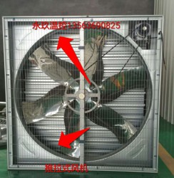 济南推拉式大香蕉三级片