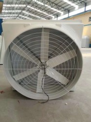 玻璃钢大香蕉三级片